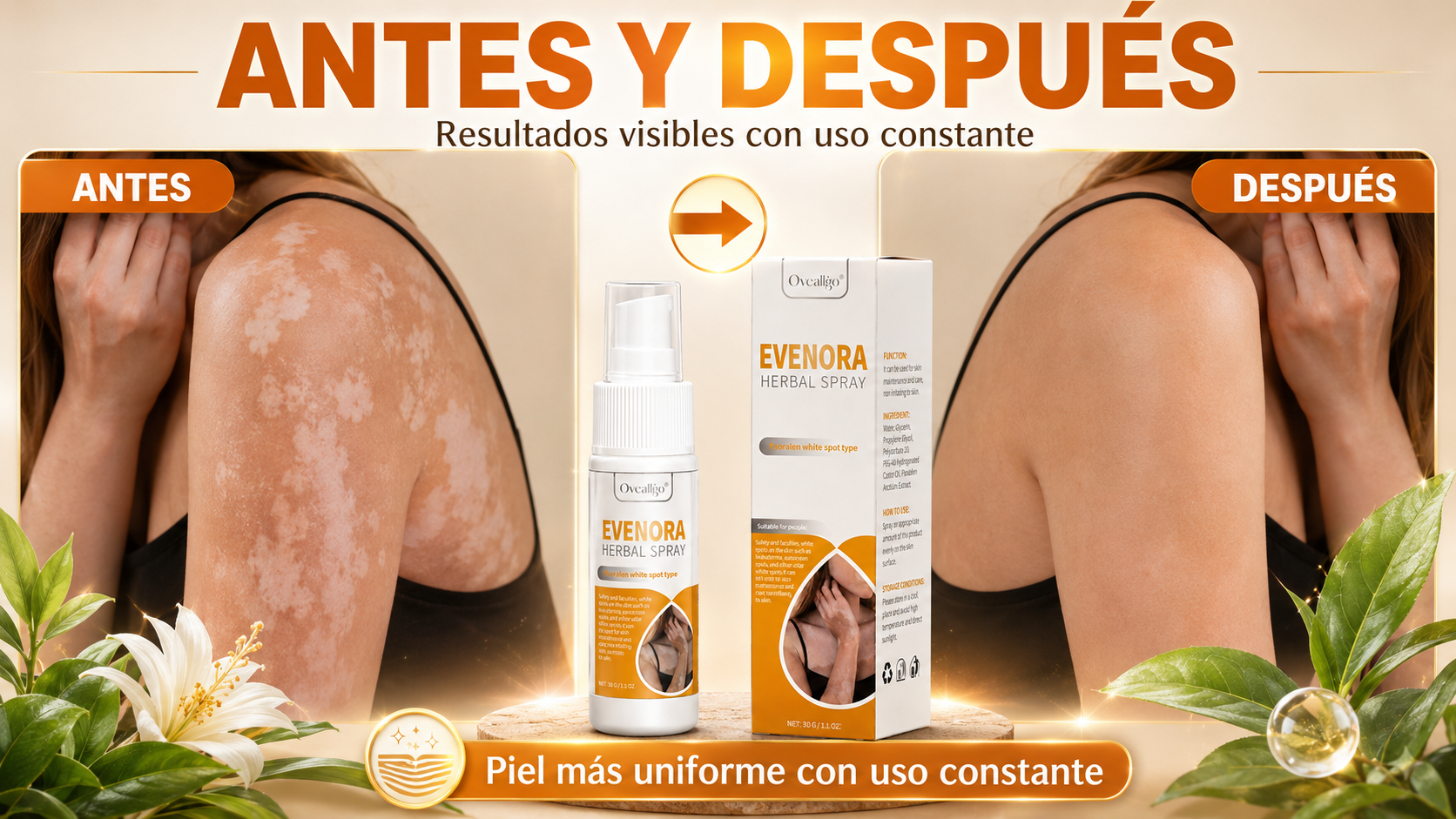 Sección del Producto